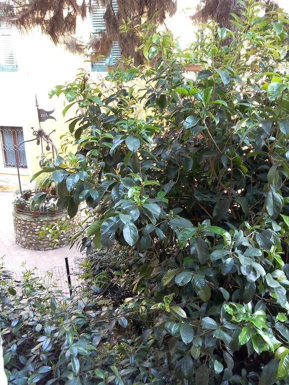 Ai Gabbiani Hotel Verona Kültér fotó